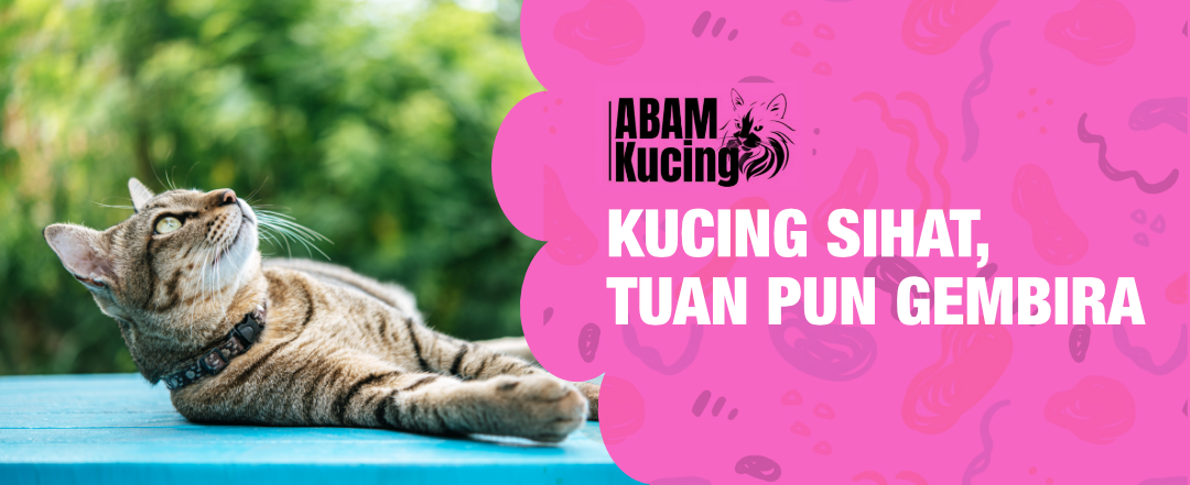 abam-kucing-banner1.png
